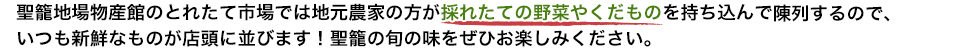 聖籠地場物産館のとれたて市場では地元農家の方が採れたての野菜やくだものを持ち込んで陳列するので、いつも新鮮なものが店頭に並びます!聖籠の旬の味をぜひお楽しみください。