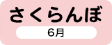 さくらんぼ 6月